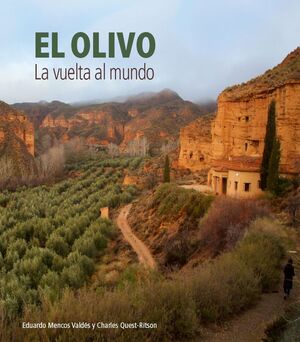 EL OLIVO.