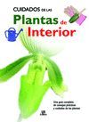 CUIDADOS DE LAS PLANTAS DE INTERIOR