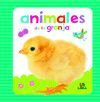 ANIMALES DE LA GRANJA